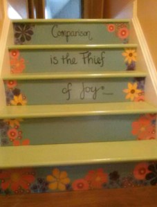 "Comparison is the Thief of Joy" - Theodore Roosevelt Photo courtesy of Karen Kastner 