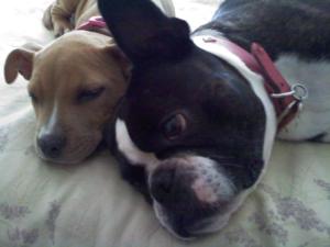 Andrea s Phone Pics 2010 1449