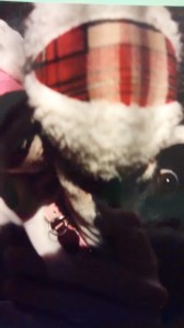 IMG_20140728_214801573