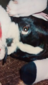 IMG_20140728_214817697