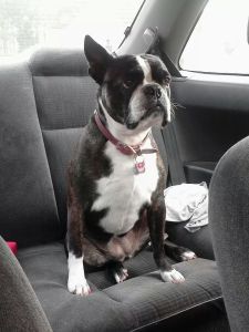 IMG_302172704266371 (1)