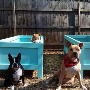 IMG_302345642367763 (2)